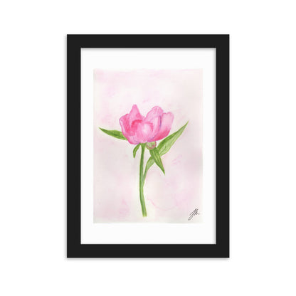 Pink Peony Framed matte paper poster