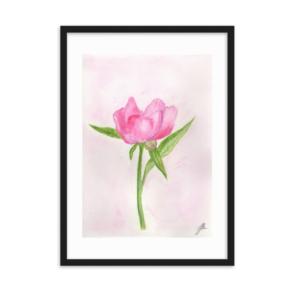 Pink Peony Framed matte paper poster