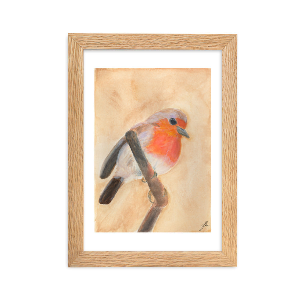 Red Breasted Wren Framed matte paper poster