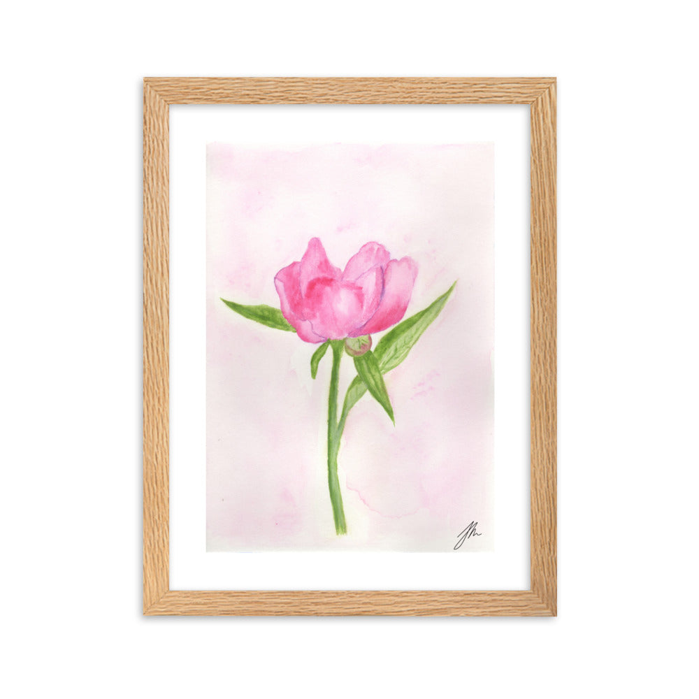 Pink Peony Framed matte paper poster