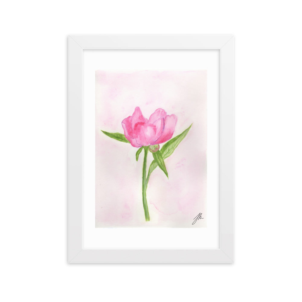 Pink Peony Framed matte paper poster