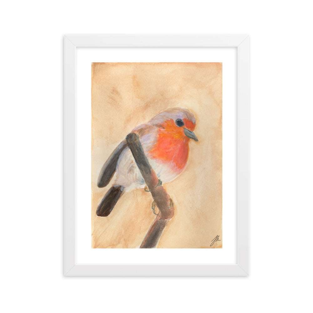 Red Breasted Wren Framed matte paper poster